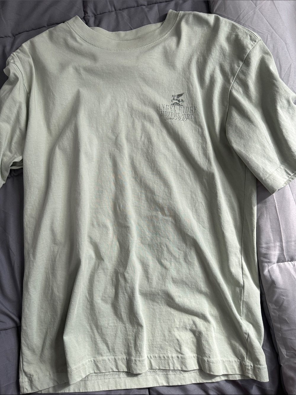 H&M Men's Crew Neck T-Shirt - Sage Green